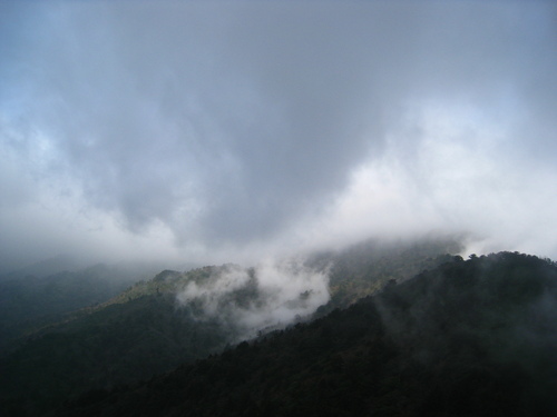 b0160957_77568.jpg