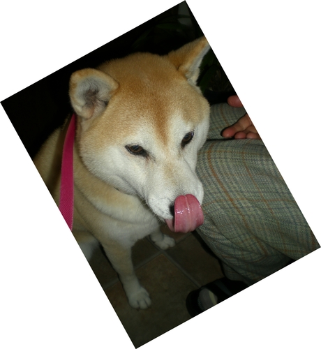 2011年3月2日(水)3月なのに・・・寒い!_f0060461_19112263.jpg
