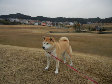 ２０１１年３月２日（水）３月なのに・・・寒い！_f0060461_19464250.jpg