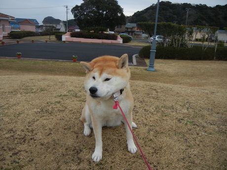 2011年3月2日(水)3月なのに・・・寒い!_f0060461_19481366.jpg