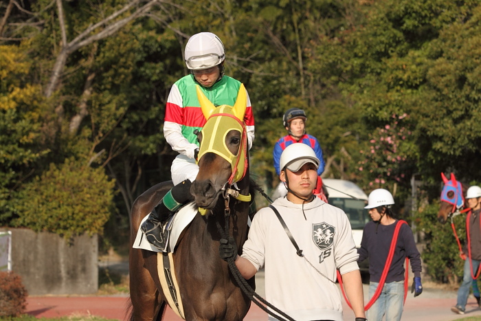 2011年2月26日（土） 高知競馬 3R 緊急特別企画 Tosa-Bingo騎手交流 第2戦 C2-2選抜馬_a0077663_581793.jpg