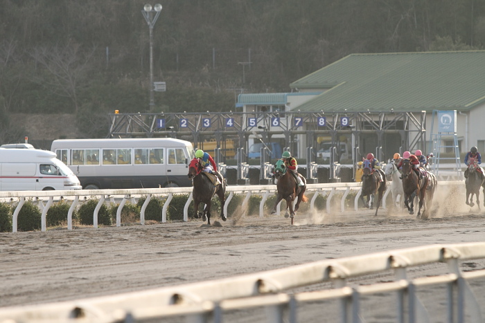 2011年2月26日（土） 高知競馬 3R 緊急特別企画 Tosa-Bingo騎手交流 第2戦 C2-2選抜馬_a0077663_591465.jpg