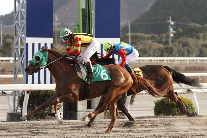 2011年2月26日（土） 高知競馬 3R 緊急特別企画 Tosa-Bingo騎手交流 第2戦 C2-2選抜馬_a0077663_59316.jpg