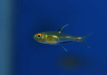 a0162263_20242089.jpg