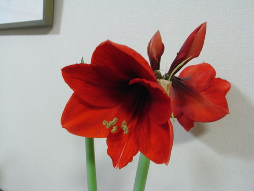 b0194267_034062.jpg