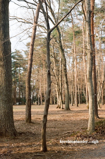 d0180285_16482086.jpg
