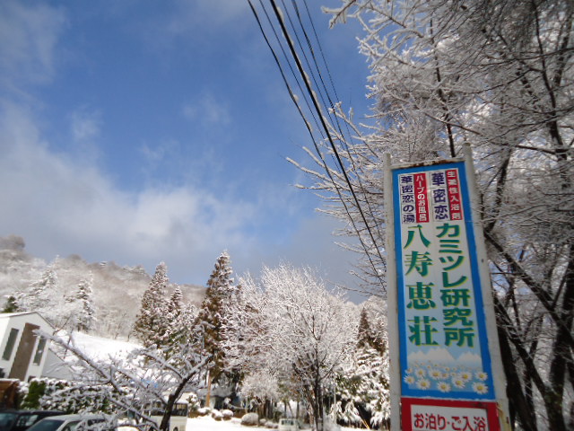 c0099395_1651625.jpg