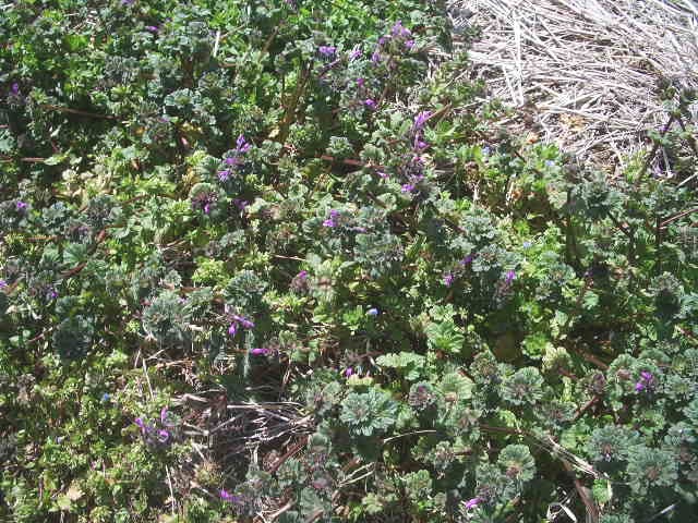e0025300_18311216.jpg