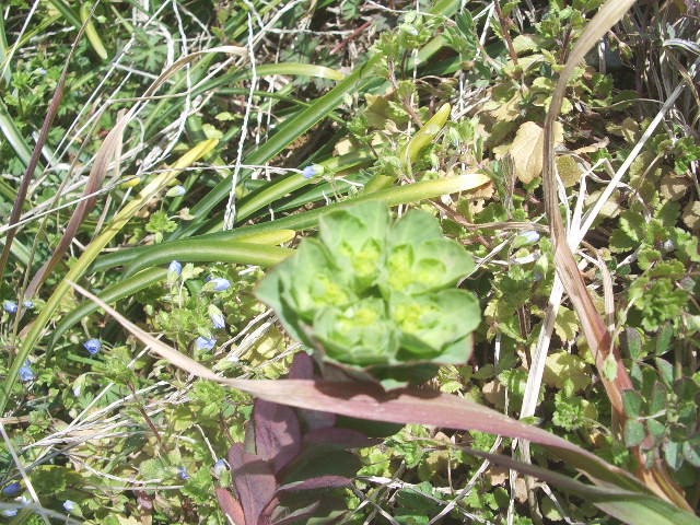 e0025300_18352574.jpg