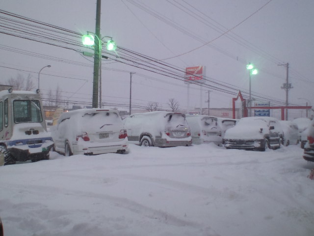 久しぶりの大雪。。。_b0127002_21190100.jpg