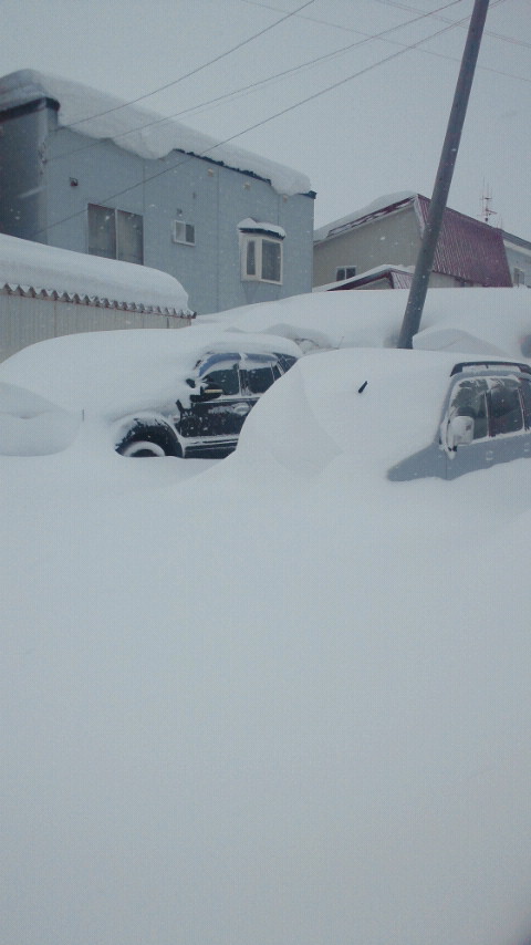 久しぶりの大雪。。。_b0127002_22435793.jpg