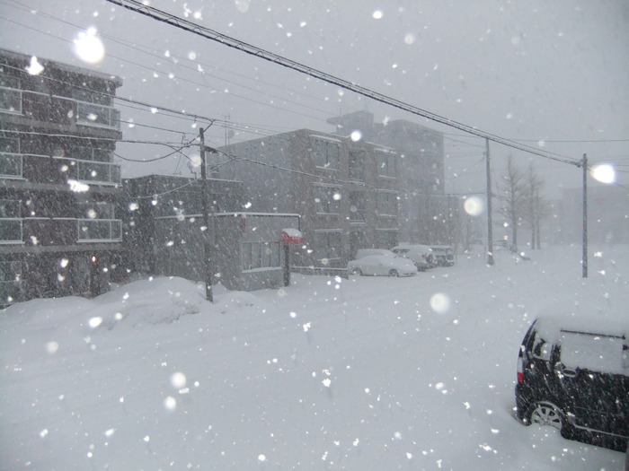 父さん　札幌は冬に逆戻りです……_c0226202_6352738.jpg