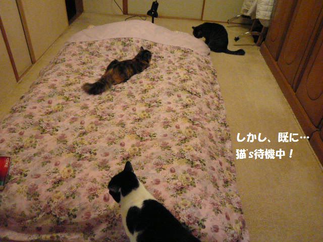 e0094407_01453.jpg