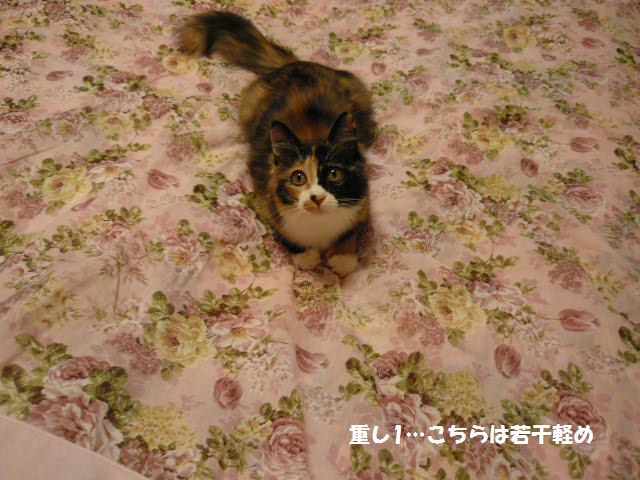 e0094407_024758.jpg