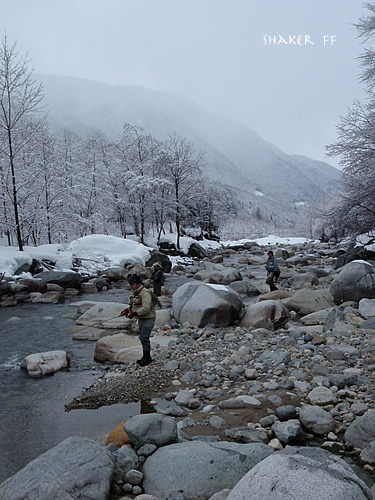 f0021008_1140592.jpg