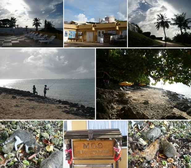 f0221708_14313869.jpg