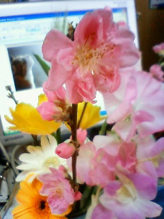 b0137009_14434797.jpg