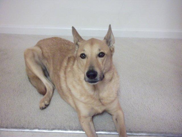 c0079011_1145107.jpg