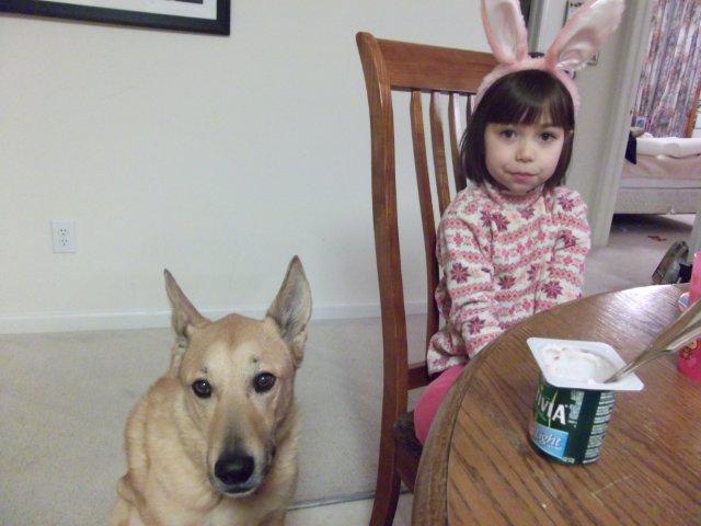 c0079011_1233419.jpg