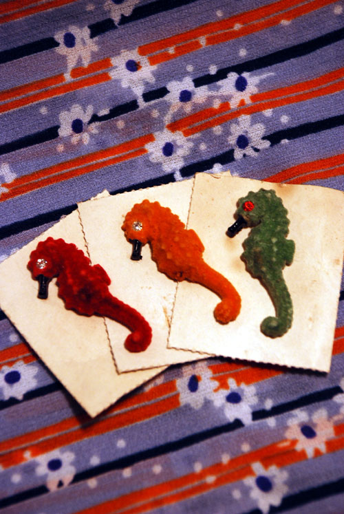 c0164514_23551691.jpg