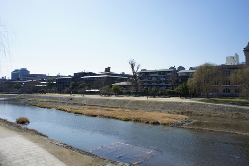 f0215714_1705677.jpg
