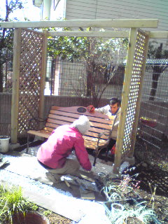 着々と庭造り_d0085018_2091628.jpg