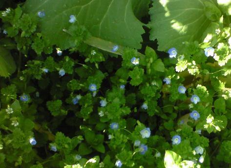 c0097620_2313916.jpg