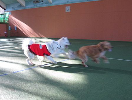 f0213924_2150741.jpg
