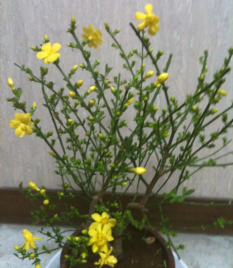 c0210829_225793.jpg