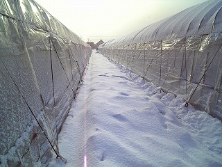 f0032130_16504345.jpg