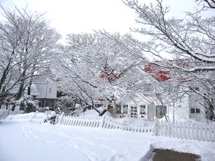 f0194533_10134728.jpg
