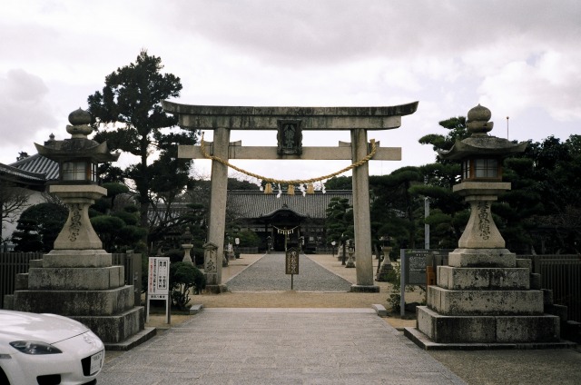 誉田八幡宮　リコーエルニカF_e0149335_19534816.jpg