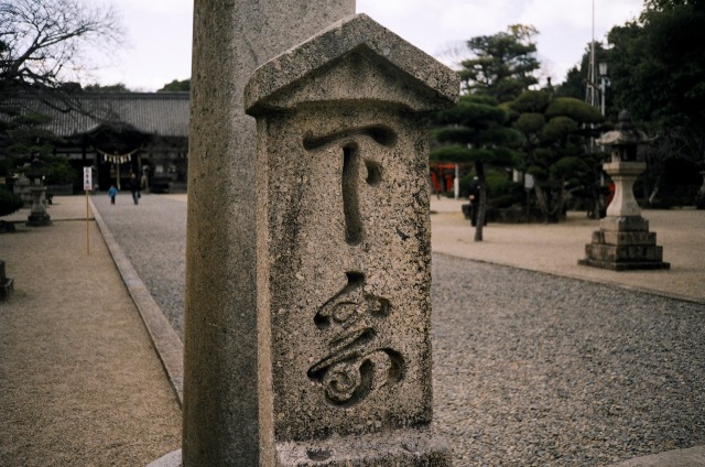 誉田八幡宮　リコーエルニカF_e0149335_1959261.jpg