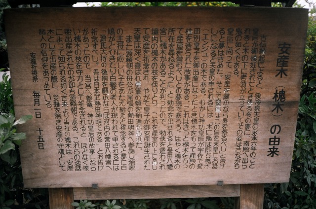 e0149335_20231173.jpg