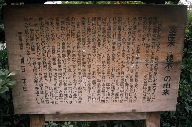 誉田八幡宮　リコーエルニカF_e0149335_20231173.jpg