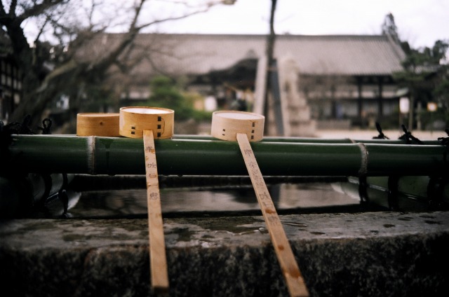 誉田八幡宮　リコーエルニカF_e0149335_2023355.jpg