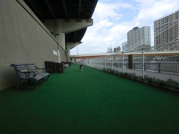 a0185236_014945.jpg