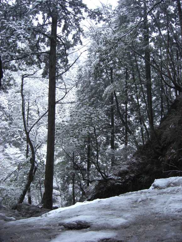 a0163738_2525741.jpg