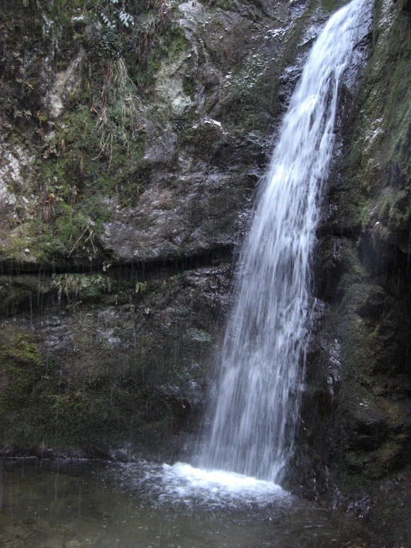 a0163738_31267.jpg