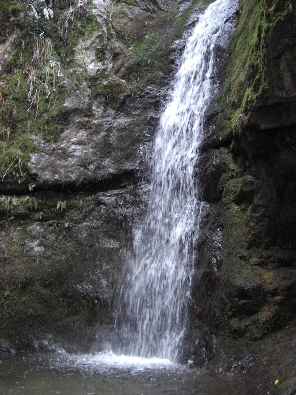 a0163738_373888.jpg