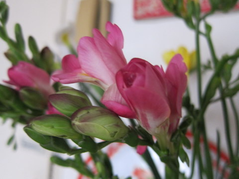 e0018143_242033.jpg