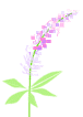 c0043751_1737977.gif