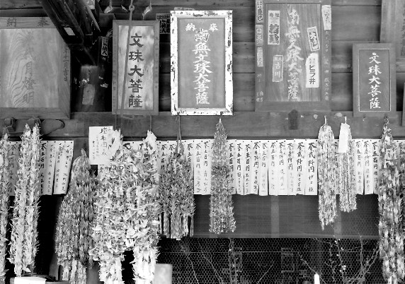 　　大阪・堺市、家原寺（えばらじ）　　２０２２-０２-２２　００：００ 　 _b0093754_23225476.jpg