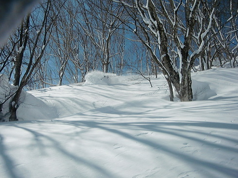f0209354_2023542.jpg