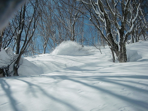 f0209354_20244443.jpg