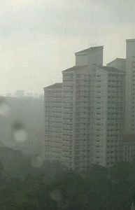 b0194056_15325456.jpg