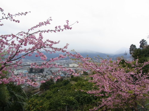b0207158_20515145.jpg