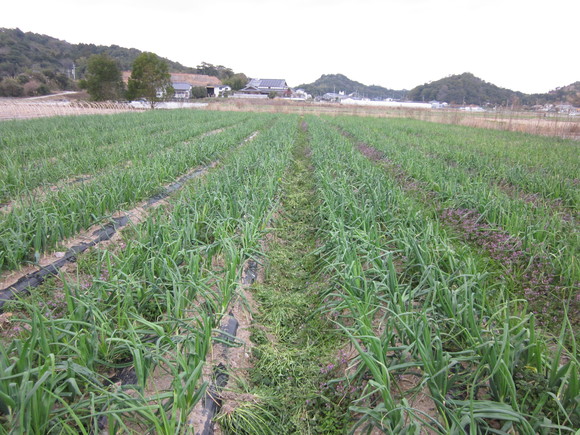 お久しぶりぶり_e0181260_19582129.jpg