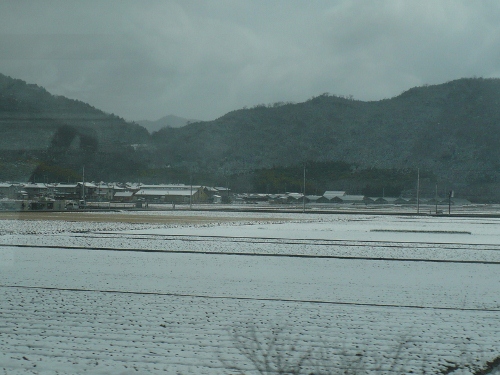 2011年3月3日（ひな祭りの雪）_a0063364_2329065.jpg