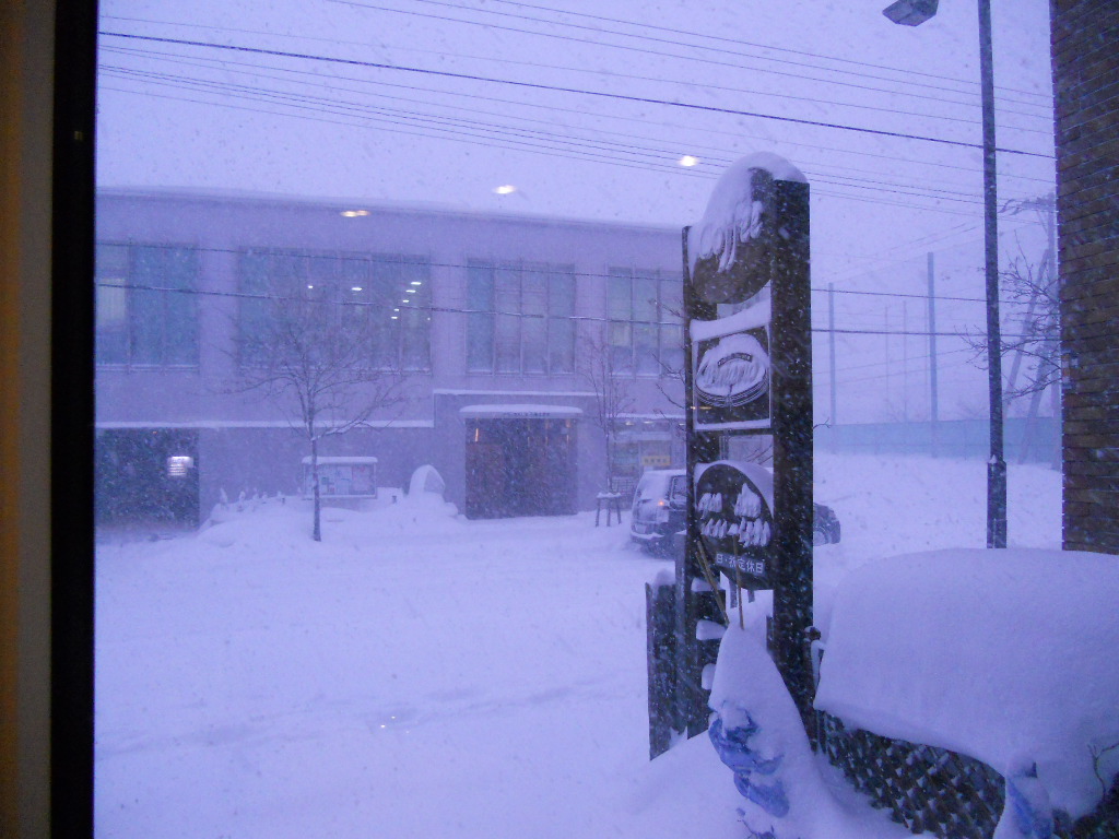 ３月３日だというのに３０cmも雪が！　　　　２０１１　3/3_e0120466_22563180.jpg